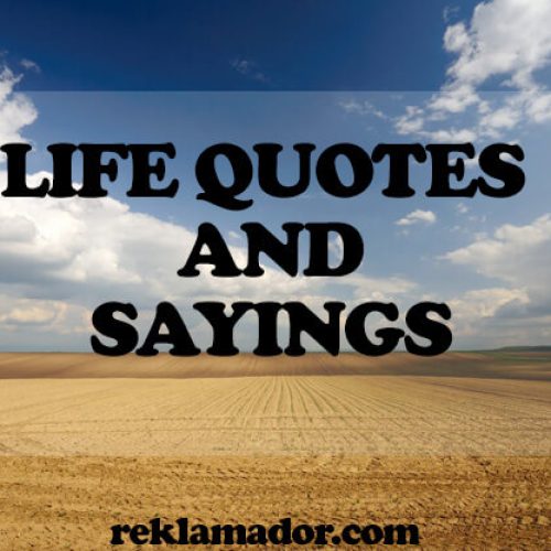 LIFE QUOTES AND SAYINGS