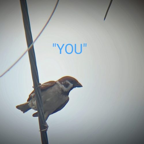 “YOU”