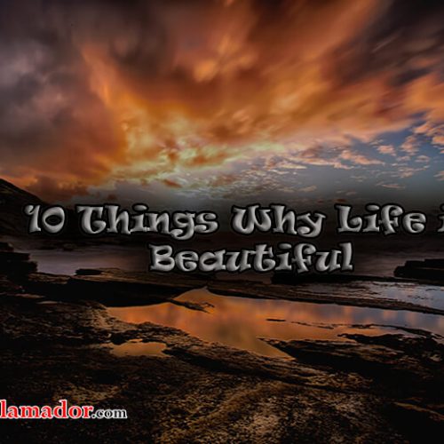 10 Things That Says Your Life is Beautiful and Special